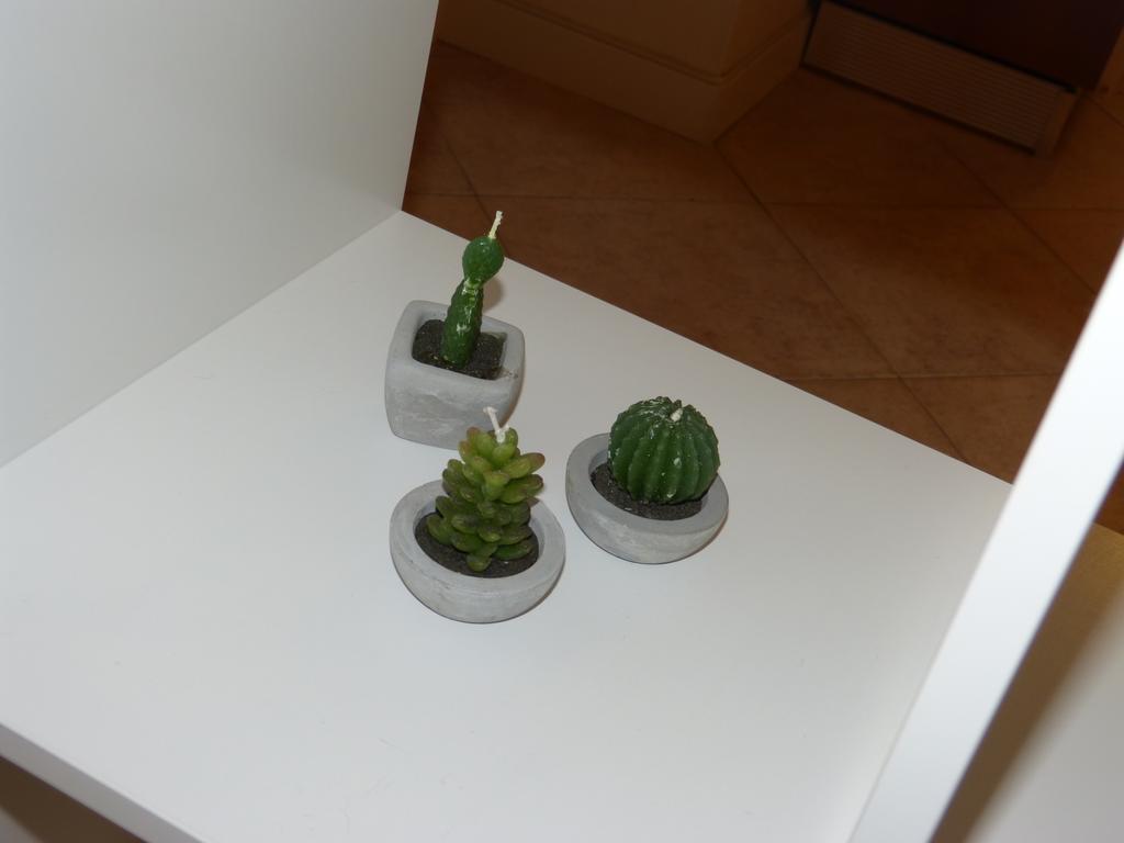 Residenza Galvani ボローニャ 部屋 写真
